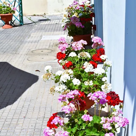 Villino La Perla Azzurra- Holiday home *